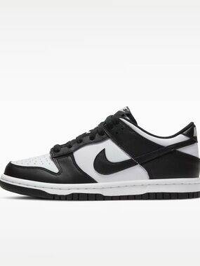 The Nike Dunk Low (worn once) like new